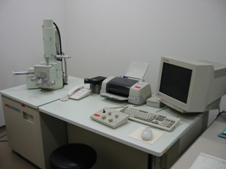 SEM